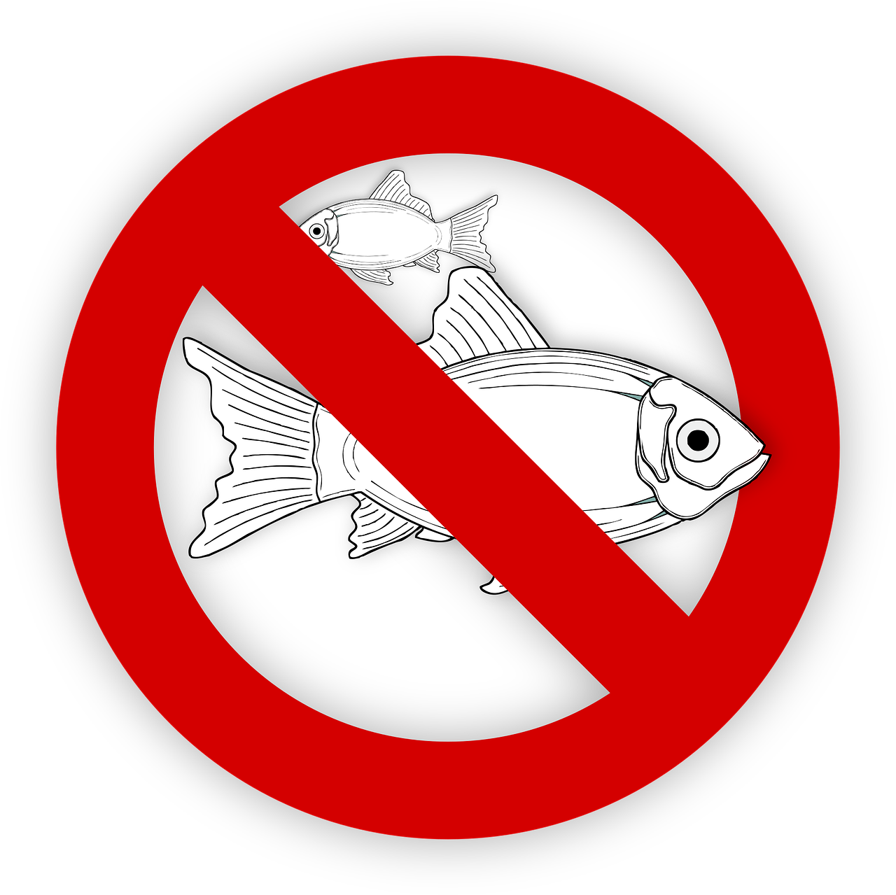 pixabay-995050-679.png